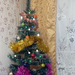 ��������, �������, 38 ���