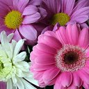 ���� ������, ������, 48 ��� - ��������� 31 ������� 2024 � ������ ���� ����������