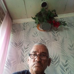 �����, ���, 51 ���