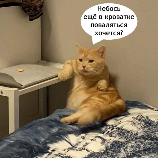  . - 3