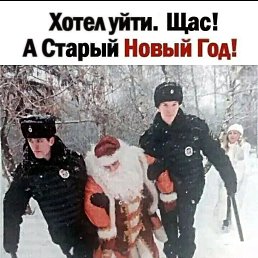 ���� ���, ������������, 58 ��� - ��������� 14 ������ 2024