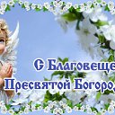 ���� ����, ����������� - ��������� 7 ������ 2025 � ������ ������ ��������