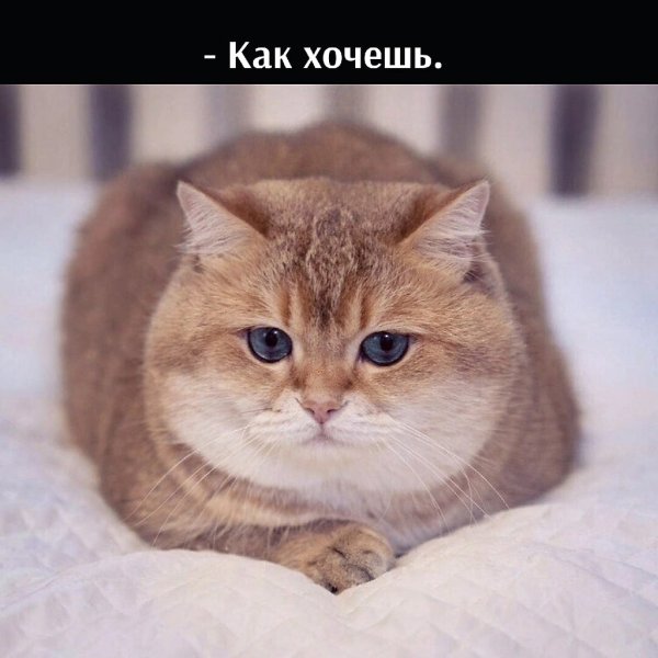       - 8  2025  16:46 - 2
