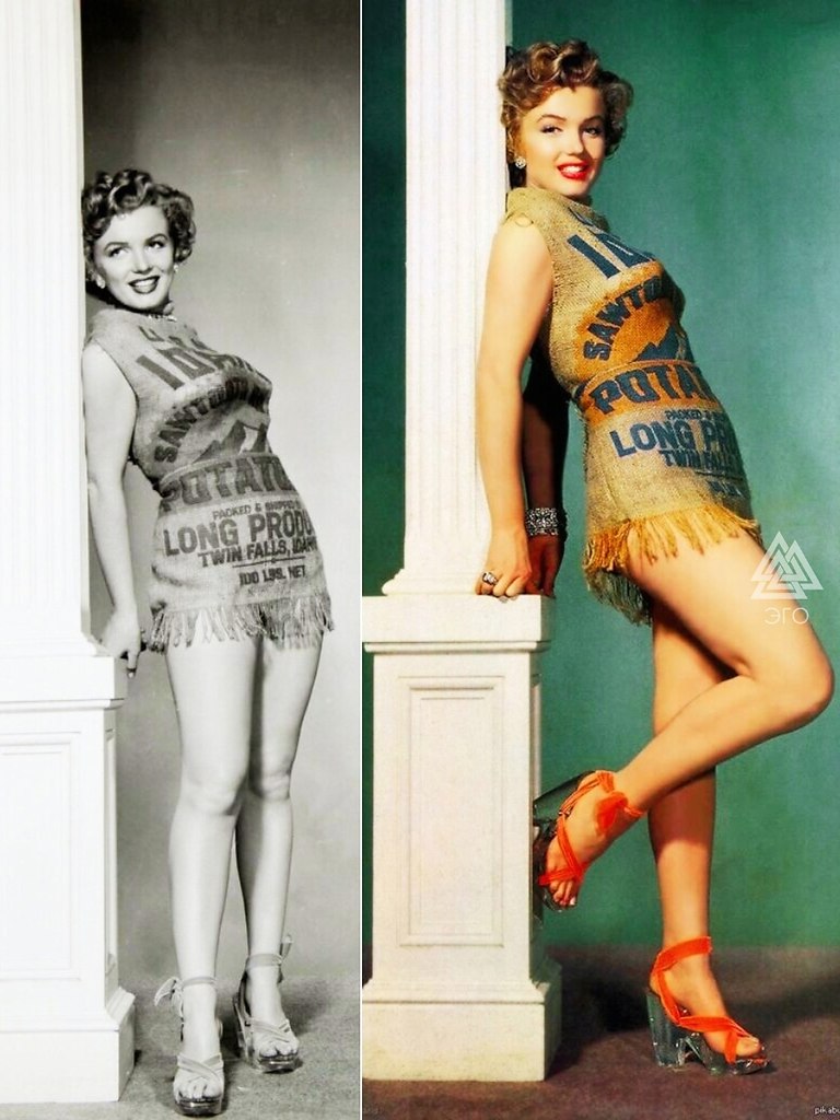   :  1951      (    ...