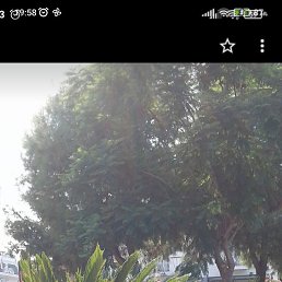 ��������, ������, 51 ���