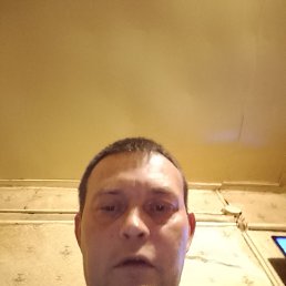 , 41, 