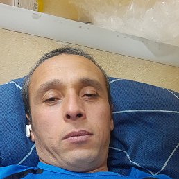 , 37, 
