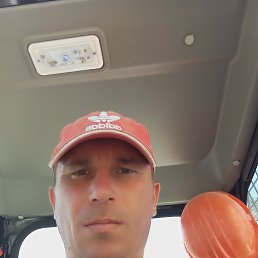 , 37, 