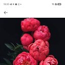  , -, 62  -  12  2025    