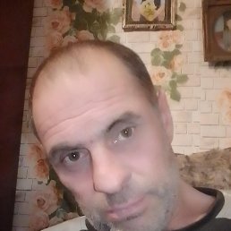 �������, 44 ����, ����