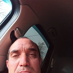 �������, 41 ���, ���������