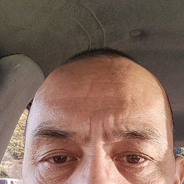 , 53, 