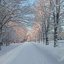 ���� ��������, ������� - ��������� 14 ������ 2026 � ������ ���� ����������