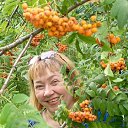 ���� ��������, �������, 52 ���� - ��������� 5 ������� 2026