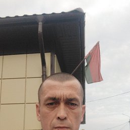 , 39, 