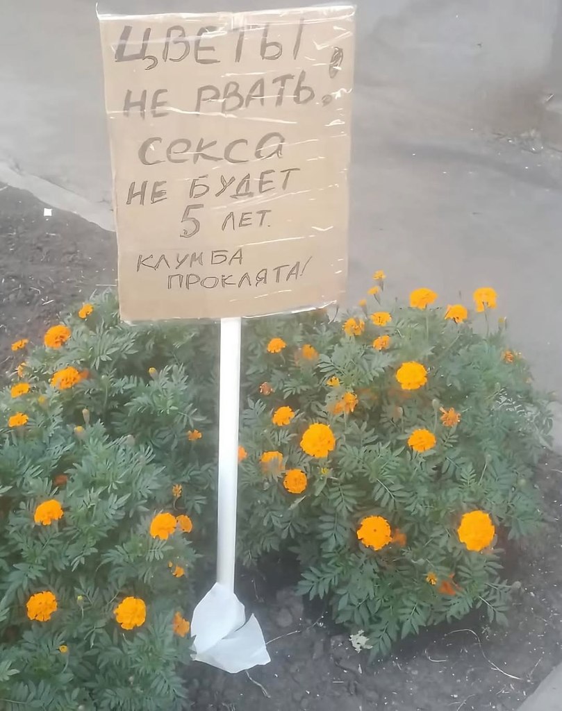  ... - 8  2025  16:32