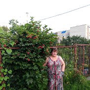 , 60 , 