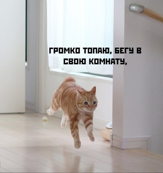 ��� ���� � ����� �� �� - 3 ������ 2026 � 17:03 - 2