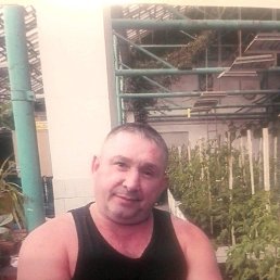 ����, 49 ���, �����