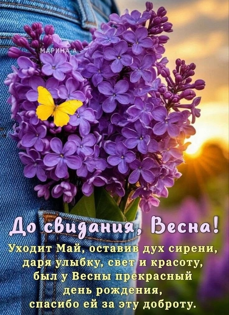   ,    . - 31  2025  10:34