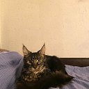 ���� ������, �����������, 62 ���� - ��������� 23 ������� 2025 � ������ ���� ����������