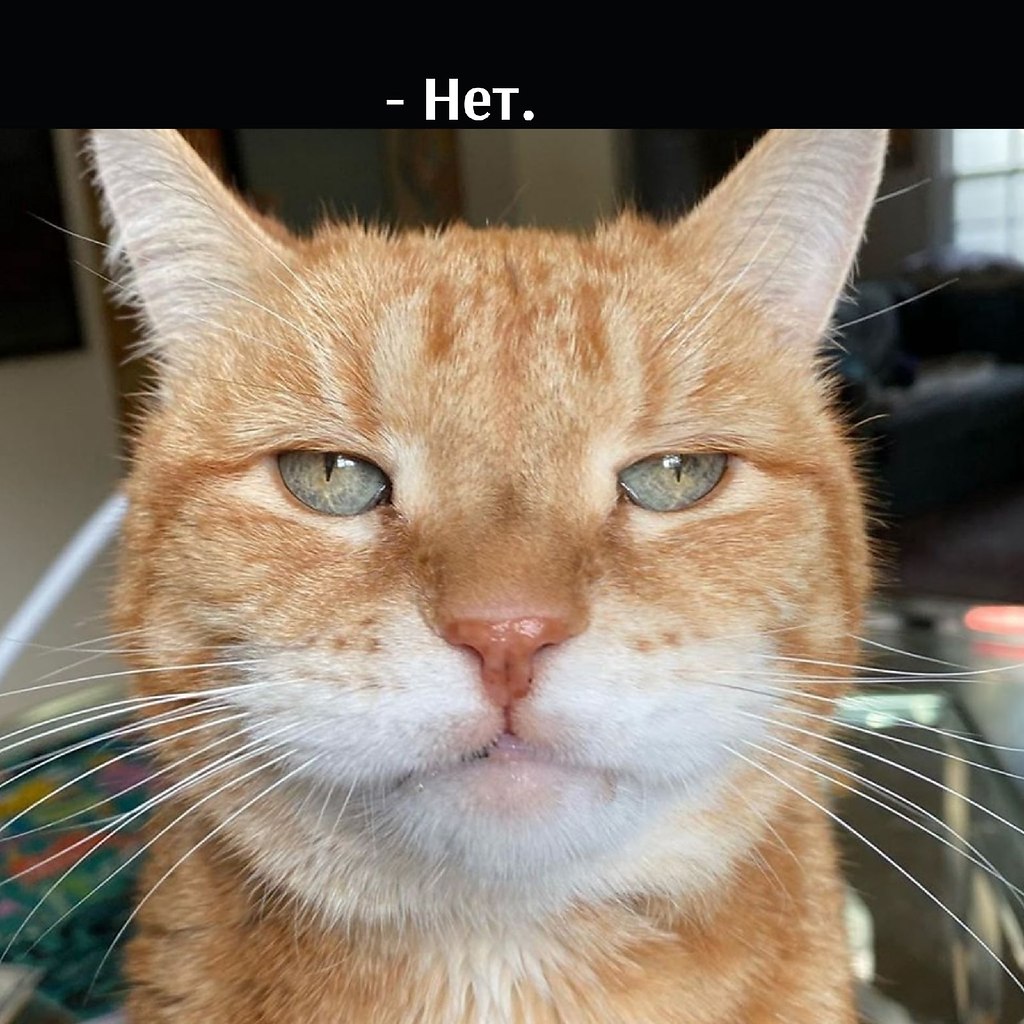       - 31  2025  12:28 - 2