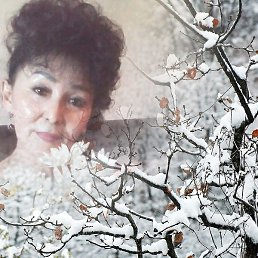 Aida, ��������