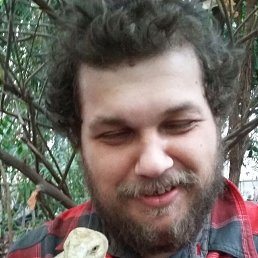 ������, 39 ���, ������