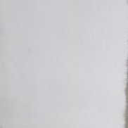 �����, 29 ���, ���������