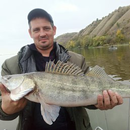 , 41, 