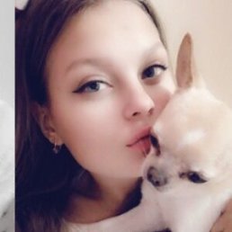 , 24, 