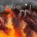 ���� ������, �����������, 40 ��� - ��������� 5 ������� 2024 � ������ ���� ����������