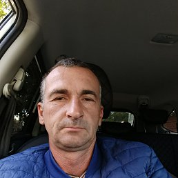 , 44, 