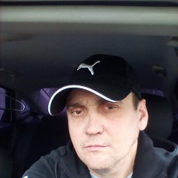 , 41, 