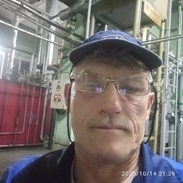  , 53, 