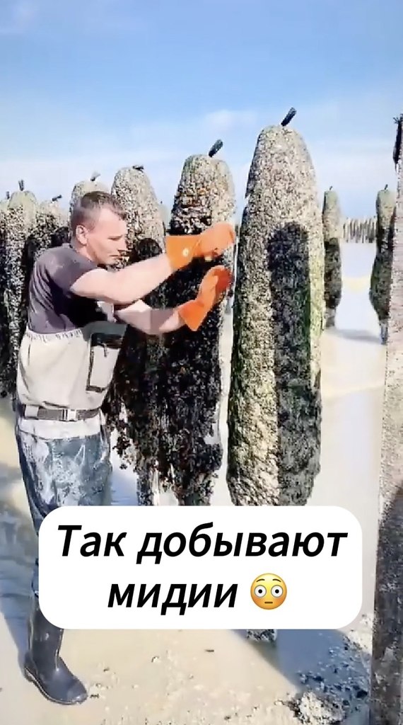  ,   . - 2
