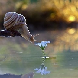 ����, �����, 56 ���