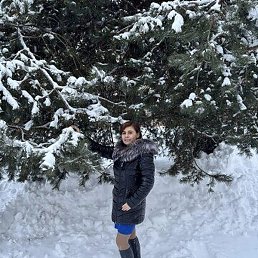 ����, �������, 41 ���