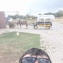 ���� �������, ������, 38 ��� - ��������� 16 ������ 2023 � ������ ���� ����������