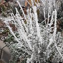 ���� �������, ������, 51 ��� - ��������� 11 ������ 2024 � ������ ������ ��������