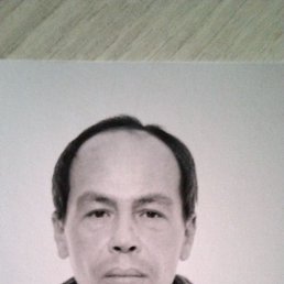 �����, 38 ���, ���������