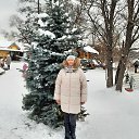 ���� �����, ������, 55 ��� - ��������� 23 ������ 2026 � ������ ���� ����������