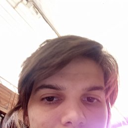 , 24, 