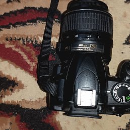 Dima, �����, 31 ���