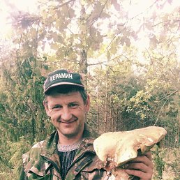 ���� �������, �����, 40 ��� - ��������� 15 ������ 2026