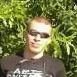 ������, ����������, 41 ���