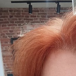 �������, �����-���������, 54 ����