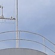 ����, 39 ���, ������