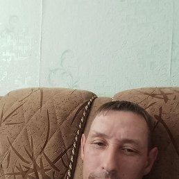 ����, 41 ���, ������