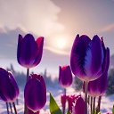 ���� �����, ����, 46 ��� - ��������� 10 ������� 2024 � ������ ���� ����������